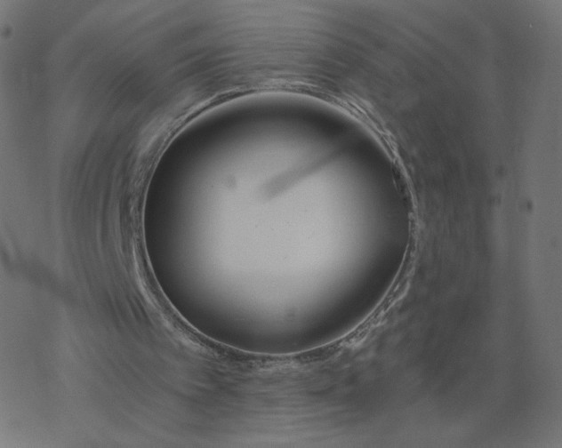 X0000077400097200611032036