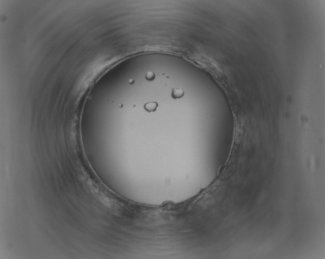 X0000077400098200611032036