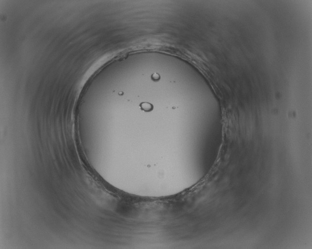 X0000077400100200611032036