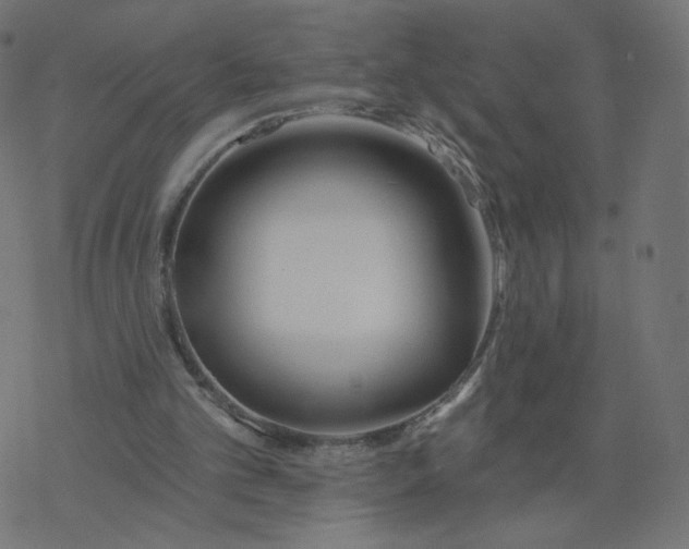 X0000077400101200611032036