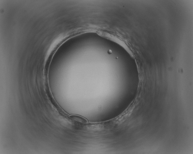 X0000077400102200611032036