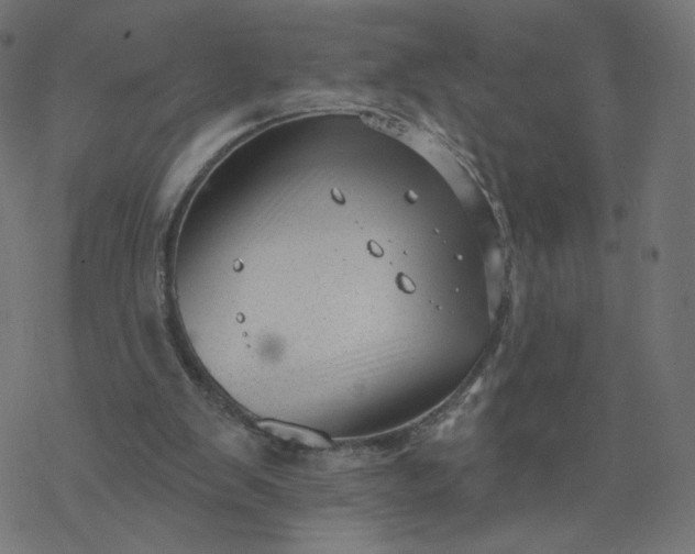 X0000077400103200611032036