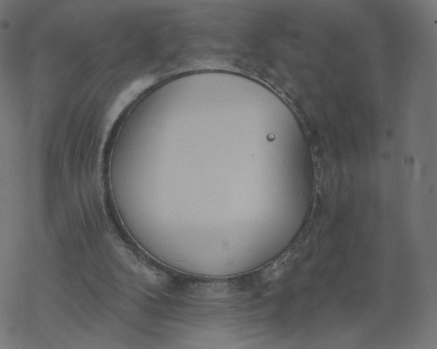 X0000077400104200611032036