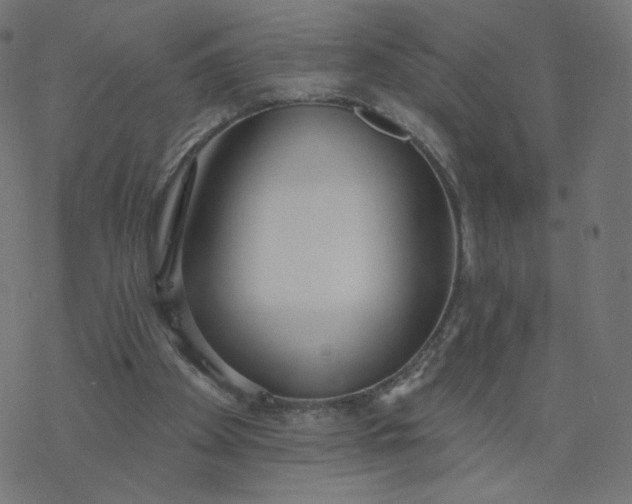 X0000077400105200611032036