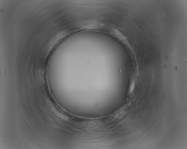 X0000077400106200611032036