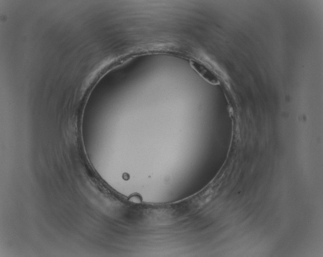 X0000077400107200611032036