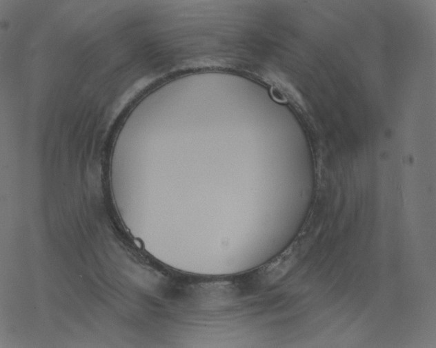 X0000077400108200611032036