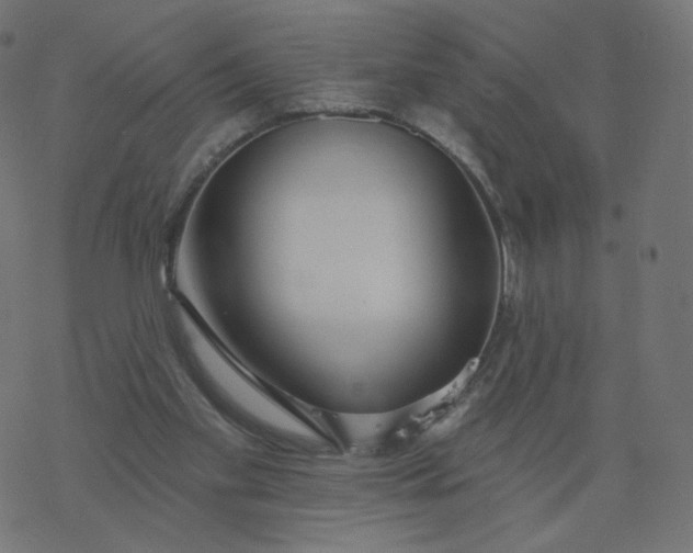 X0000077400109200611032036