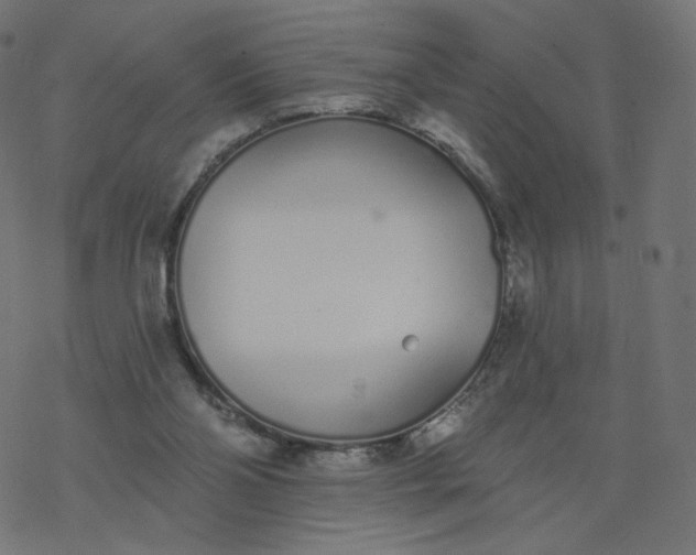 X0000077400110200611032036