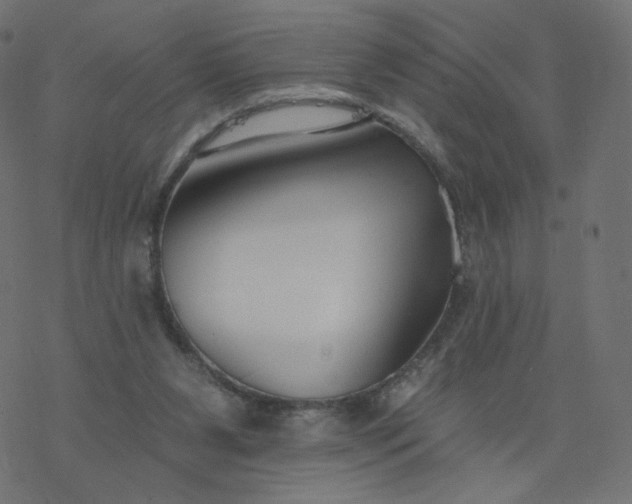 X0000077400111200611032036