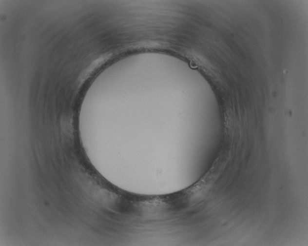 X0000077400112200611032036