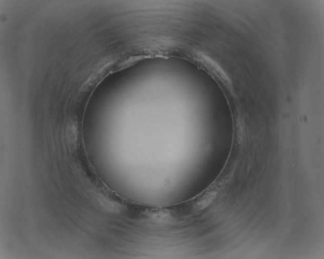 X0000077400113200611032036