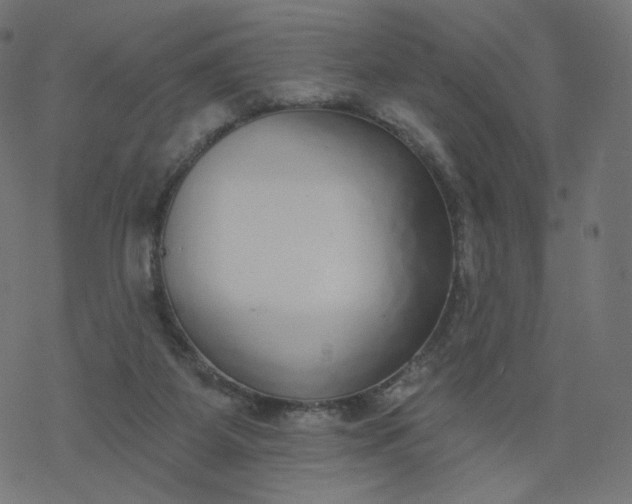 X0000077400115200611032036