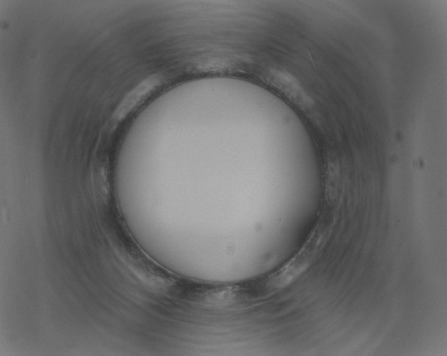 X0000077400116200611032036