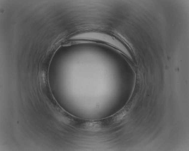 X0000077400117200611032036