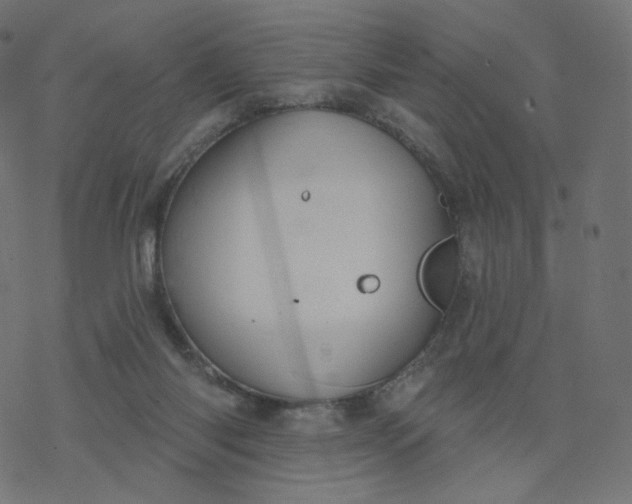 X0000077400118200611032036