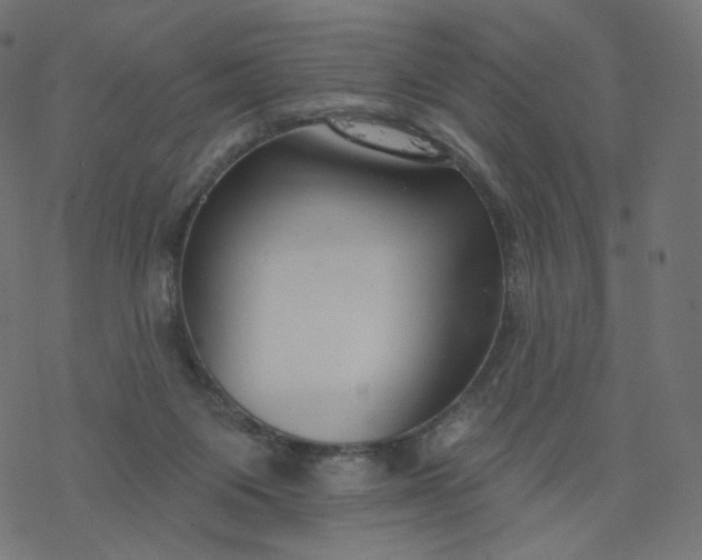 X0000077400119200611032036