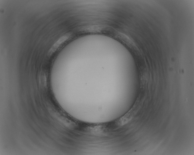 X0000077400120200611032036