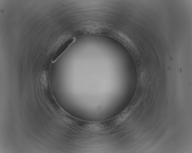 X0000077400121200611032036