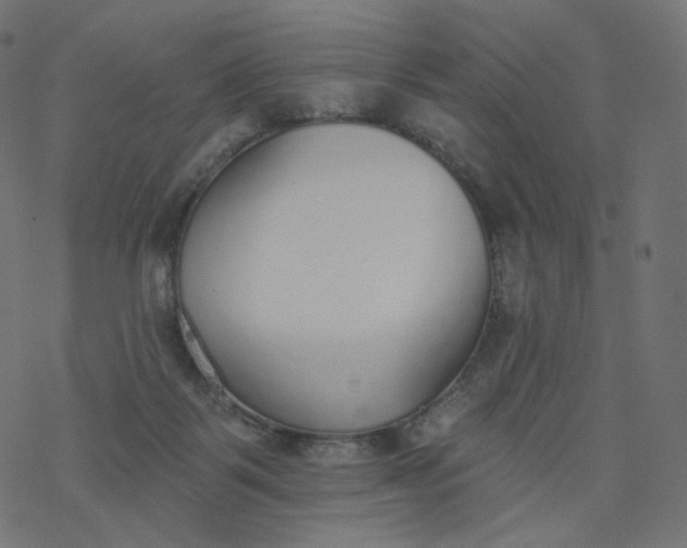 X0000077400123200611032036