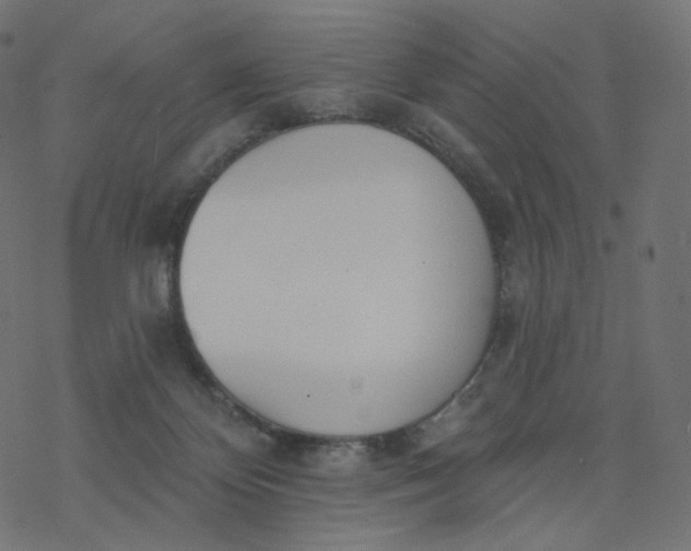 X0000077400124200611032036