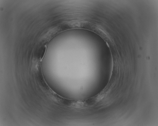 X0000077400125200611032036