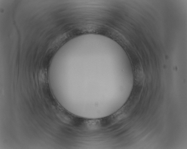 X0000077400126200611032036