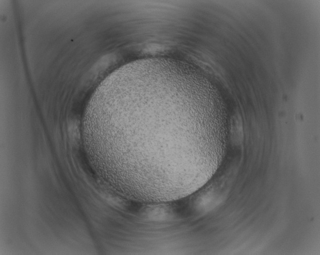 X0000077400127200611032036