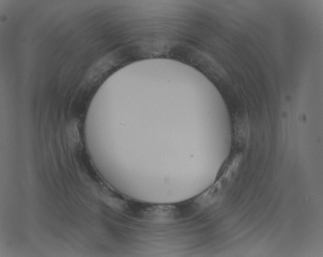 X0000077400128200611032036