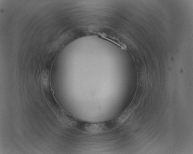 X0000077400129200611032036