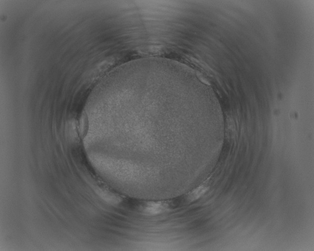 X0000077400130200611032036