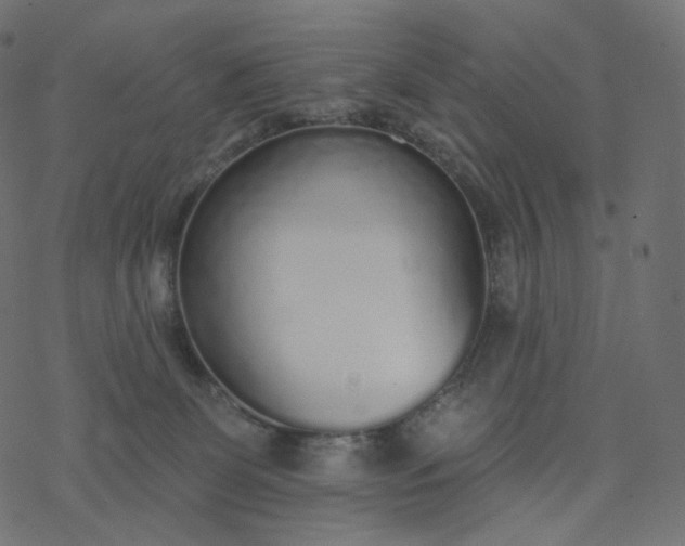 X0000077400131200611032036