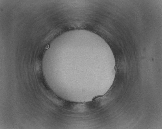 X0000077400132200611032036