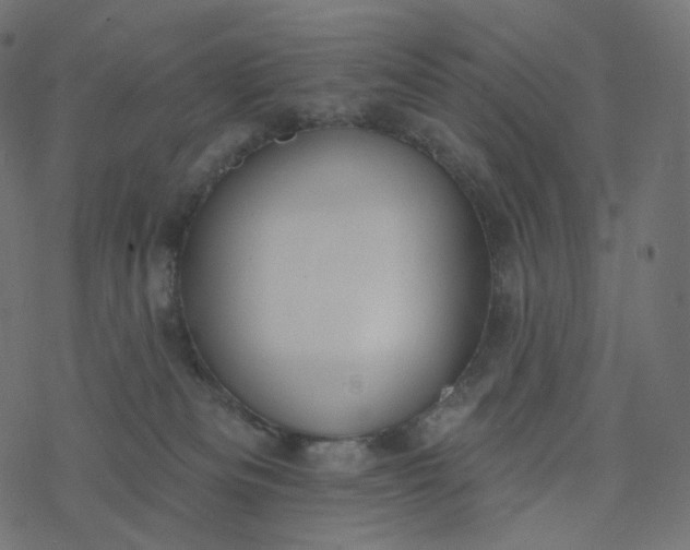 X0000077400133200611032036