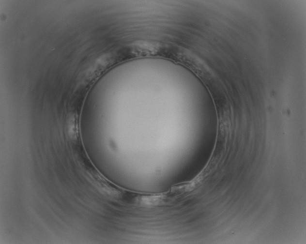 X0000077400134200611032036