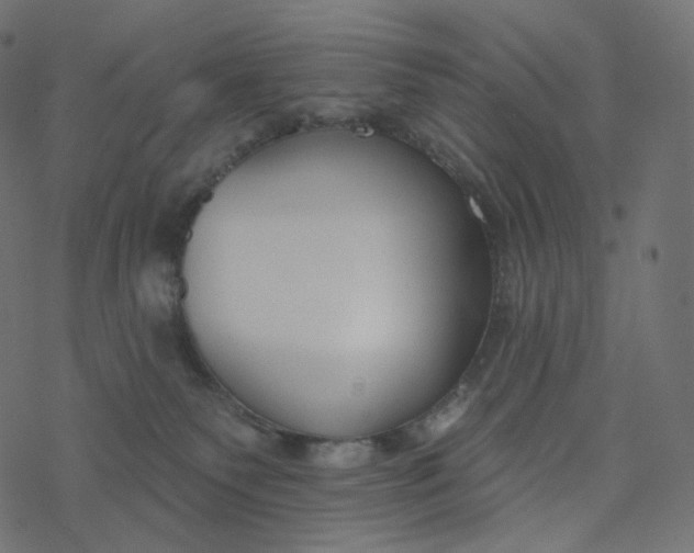 X0000077400135200611032036