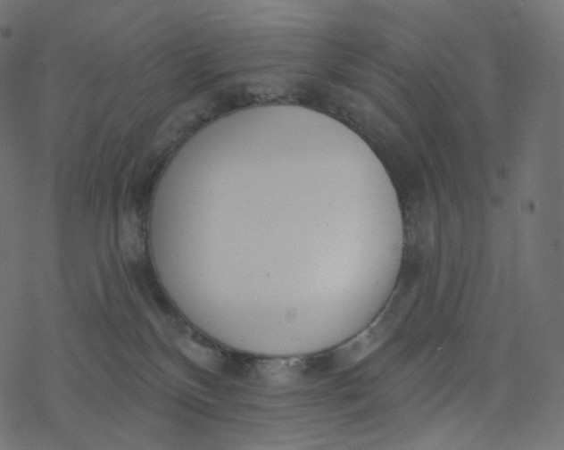 X0000077400136200611032036