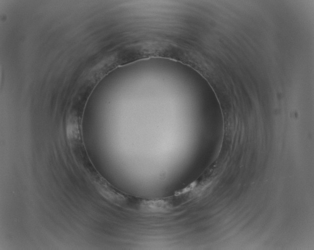 X0000077400137200611032036