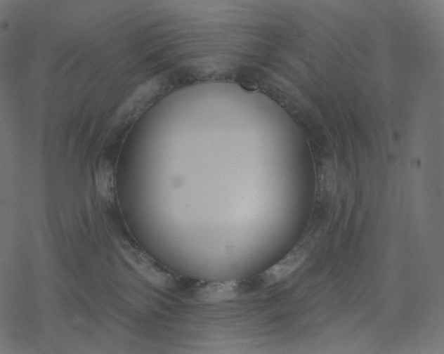 X0000077400138200611032036