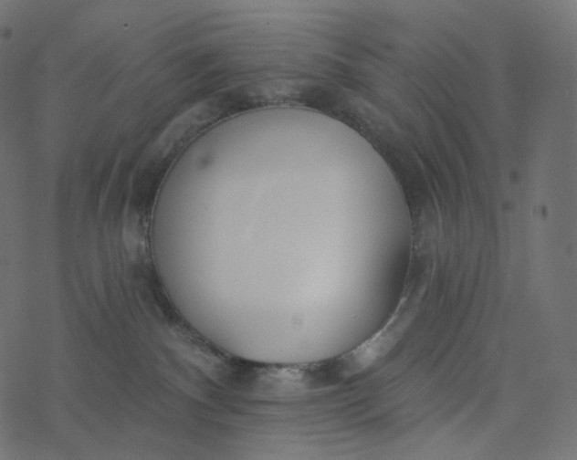 X0000077400140200611032036