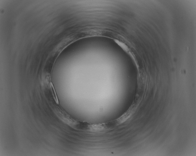 X0000077400141200611032036