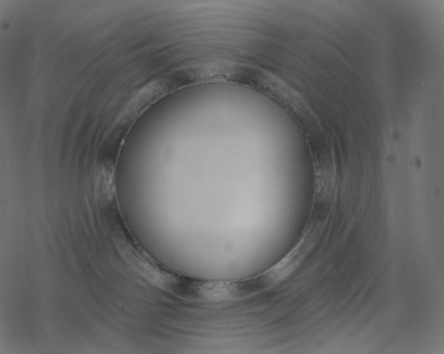 X0000077400142200611032036