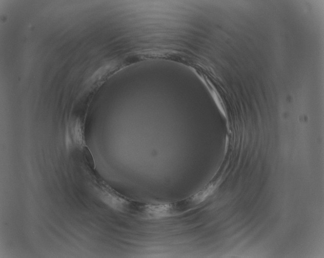 X0000077400143200611032036