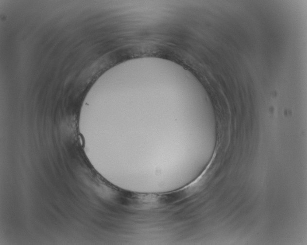 X0000077400144200611032036