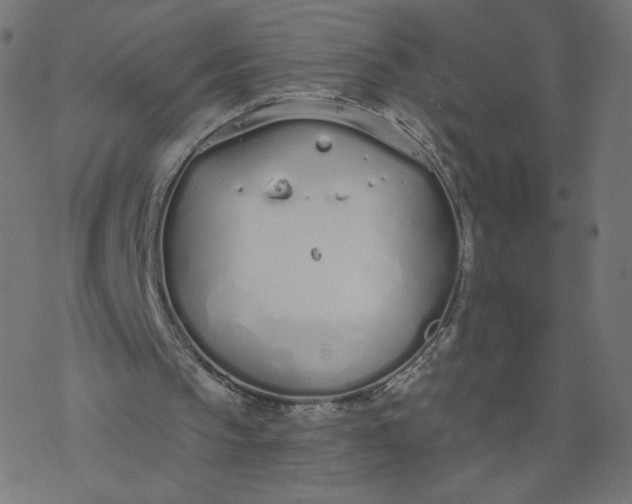 X0000077400145200611032035