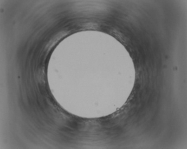 X0000077400146200611032035