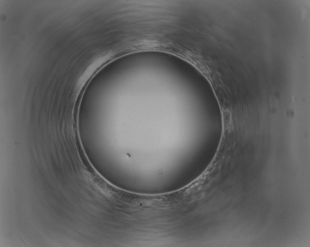 X0000077400147200611032035