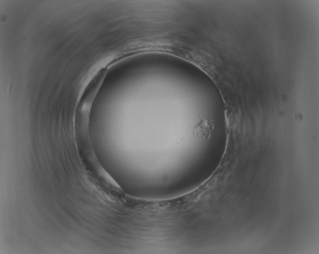 X0000077400148200611032035