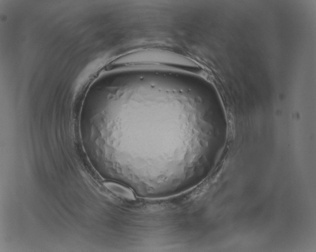 X0000077400149200611032035