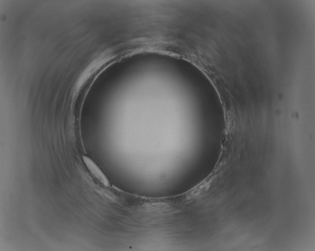 X0000077400150200611032035